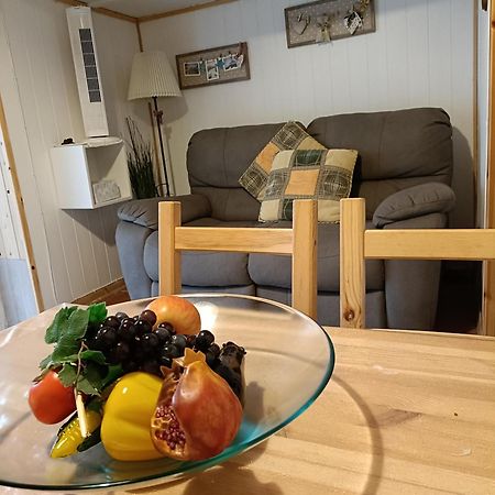 Nonna Lori'S Chalet Pisa Zona Stazione E Aeroporto Zewnętrze zdjęcie