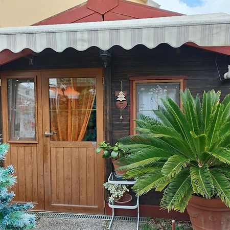 Nonna Lori'S Chalet Pisa Zona Stazione E Aeroporto Zewnętrze zdjęcie